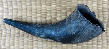 [Hình: Q-Bamboo-WaterBuffaloHorn.jpg]